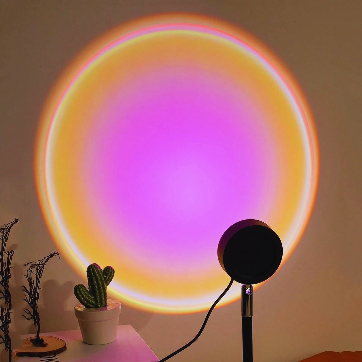 Sunset lamp glowing pink and purple beside a cactus and plant